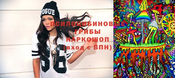 стаф Бронницы