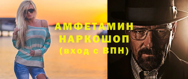 сатива Бородино