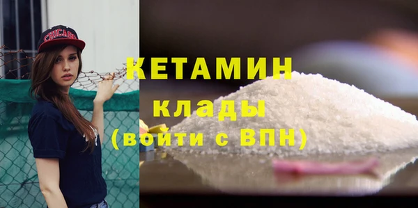 сатива Бородино