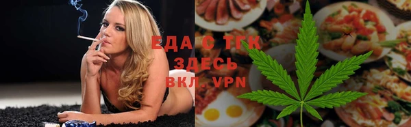 сатива Бородино