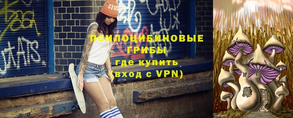 сатива Бородино
