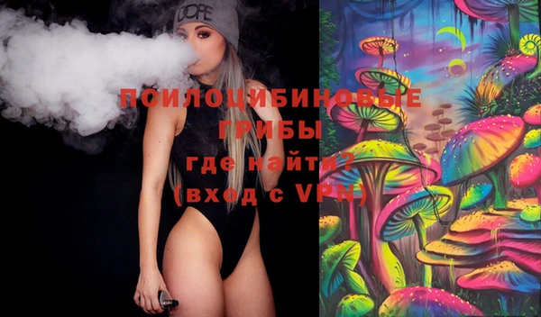 стаф Бронницы