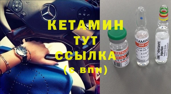 сатива Бородино