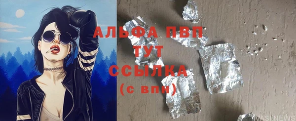 сатива Бородино