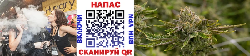 Купить  Котлас  Бошки Шишки планчик 